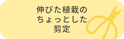 伸びた植栽のちょっとした剪定